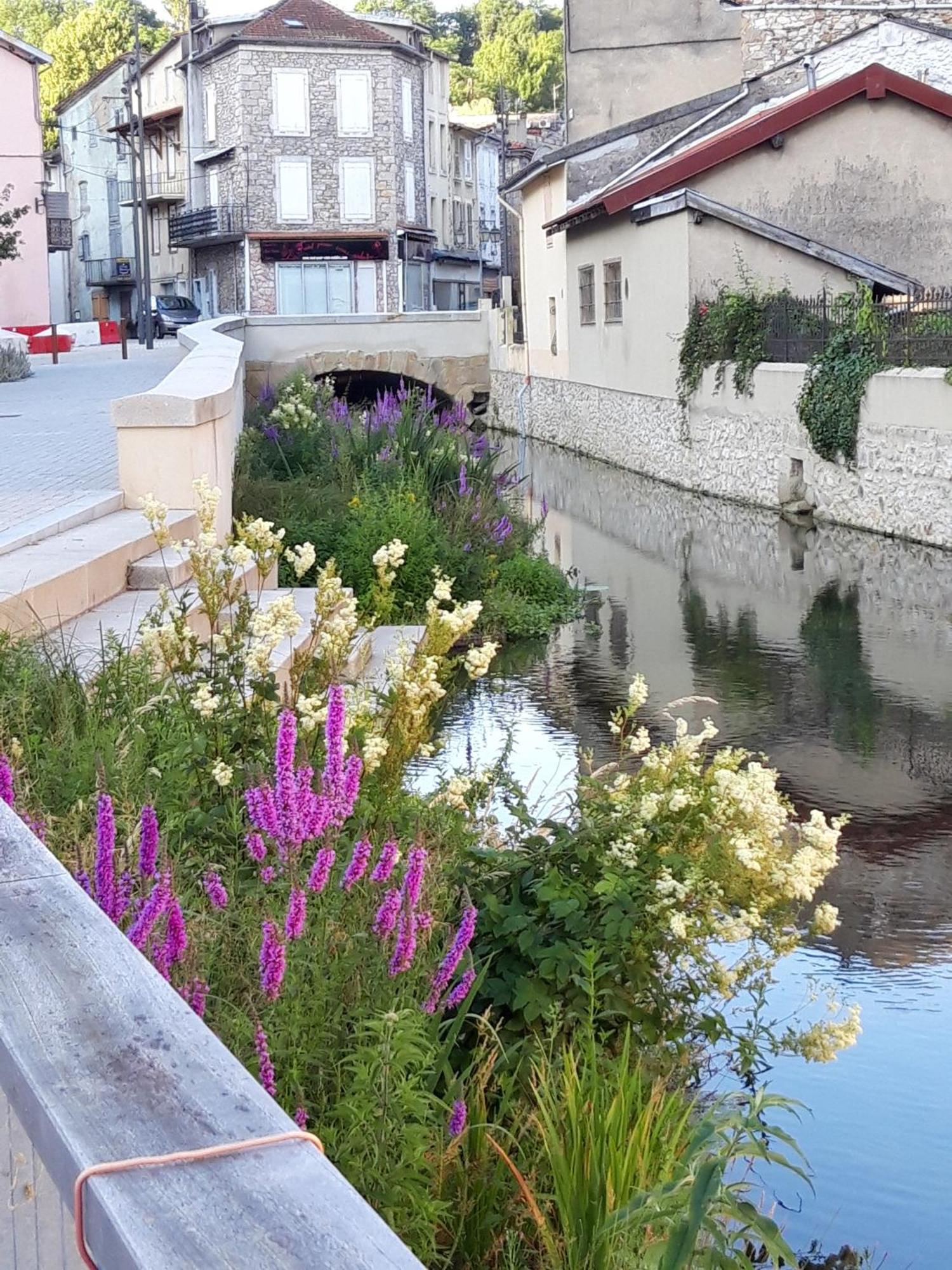 Le Gargantua Bed & Breakfast Lavelanet Bagian luar foto